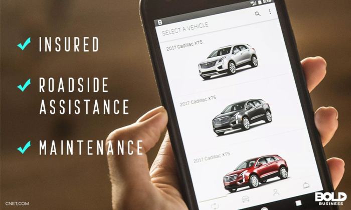 Car subscription services